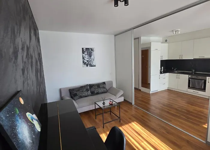 Apartman The Cosiest In Vilnius